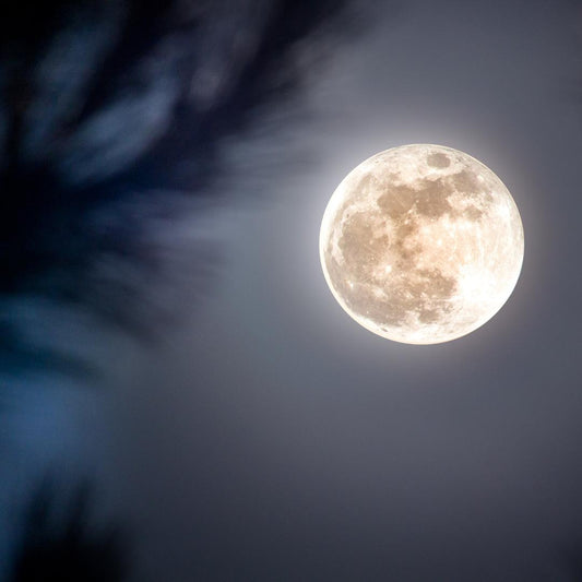 VOLLMOND IM STEINBOCK